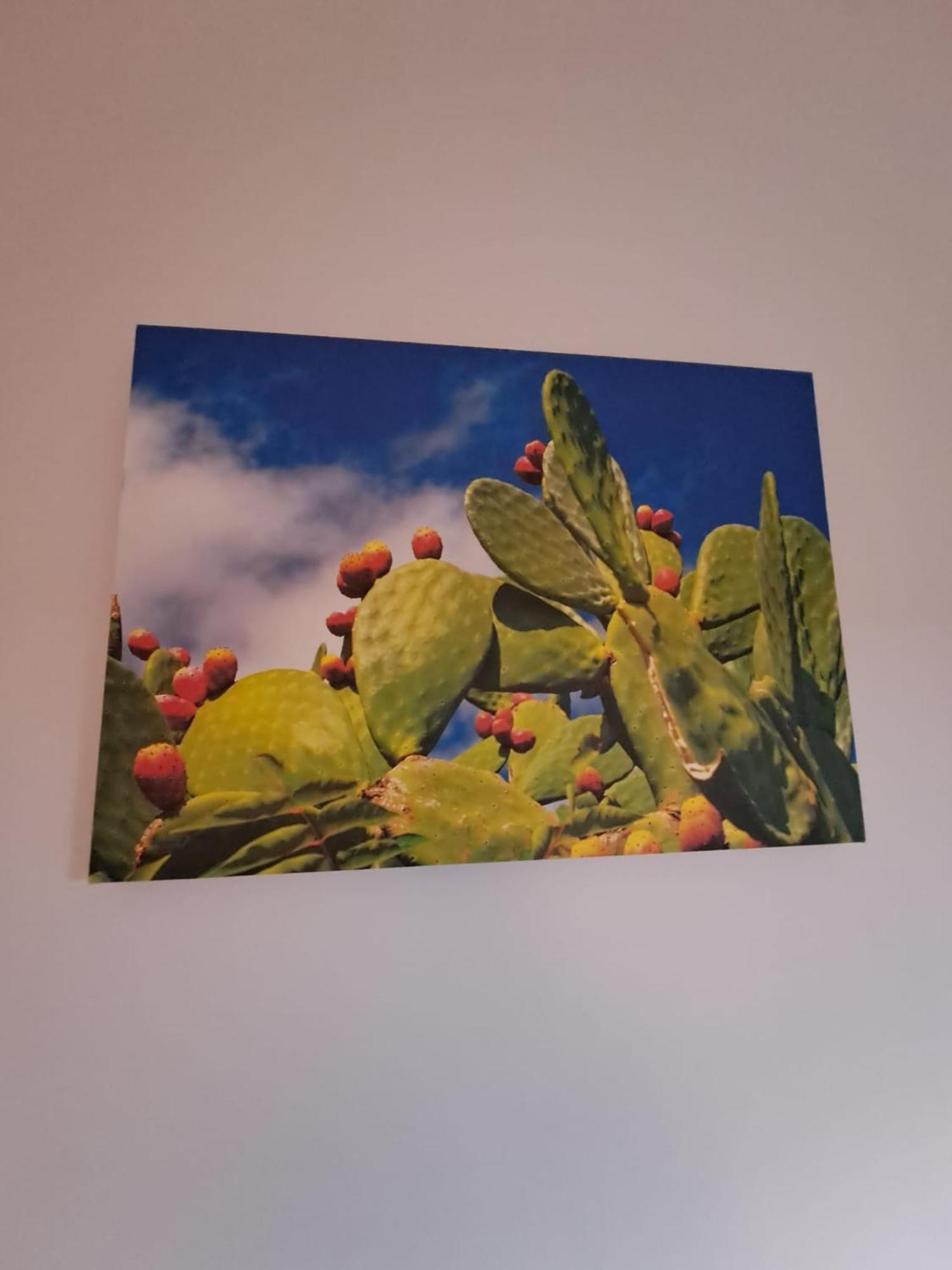 פלרמו Appartamento Ammirata מראה חיצוני תמונה